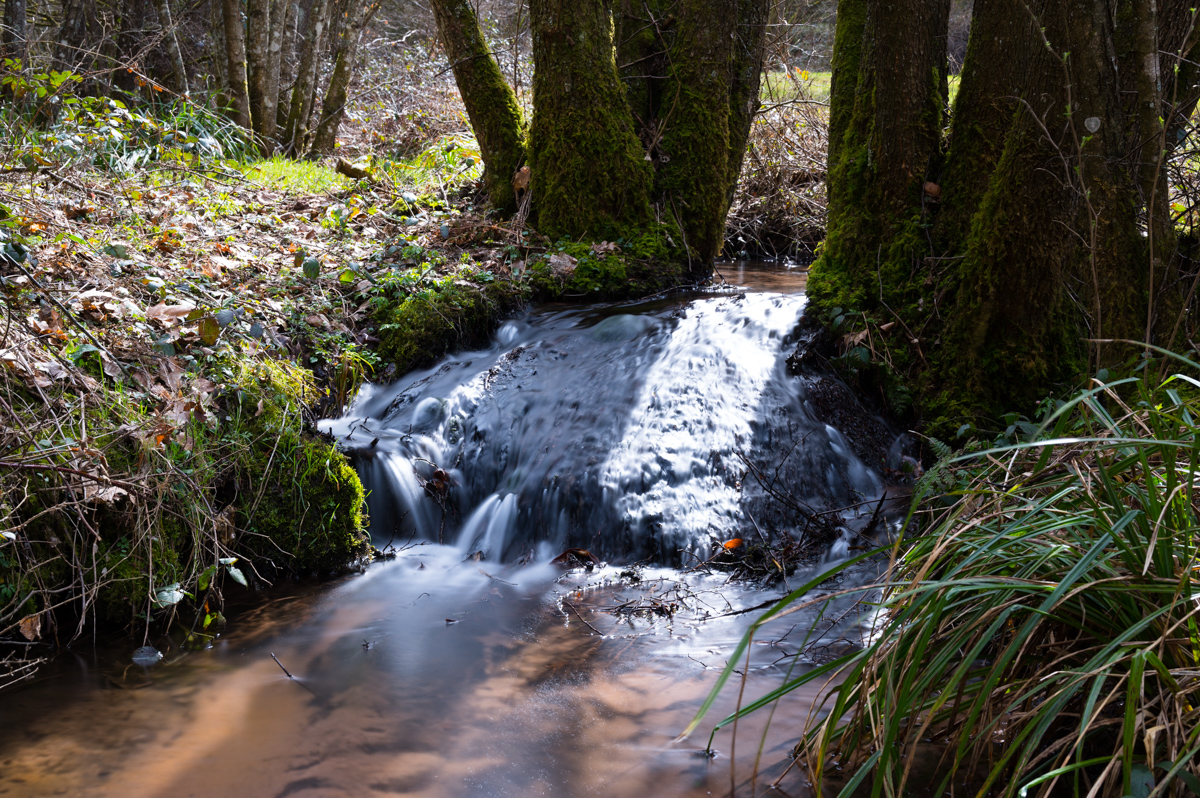 Z62_0714.jpg