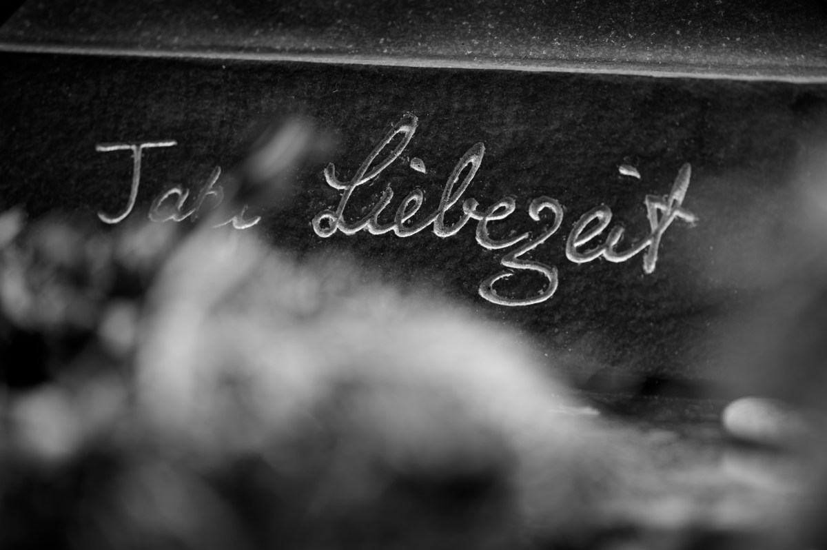 Z62_0913_DxO_1.jpg