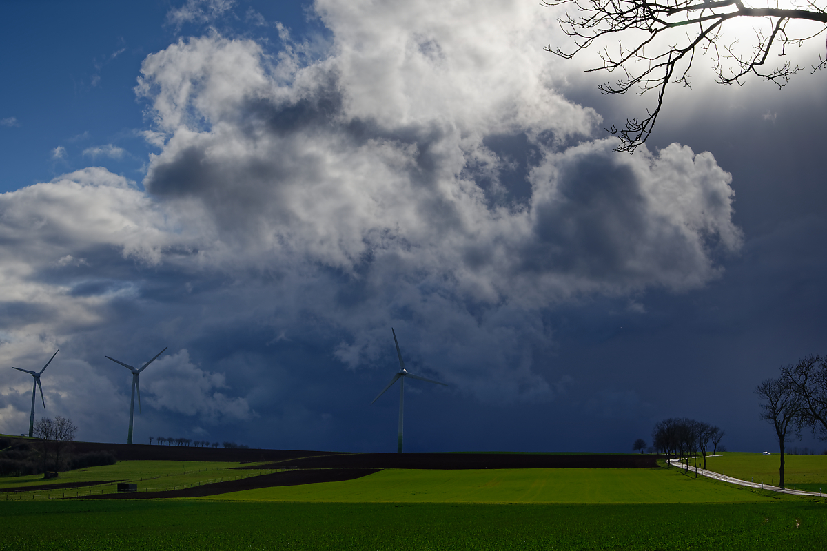 Z62_1542-1.jpg