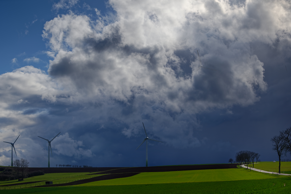 Z62_1542-2.jpg