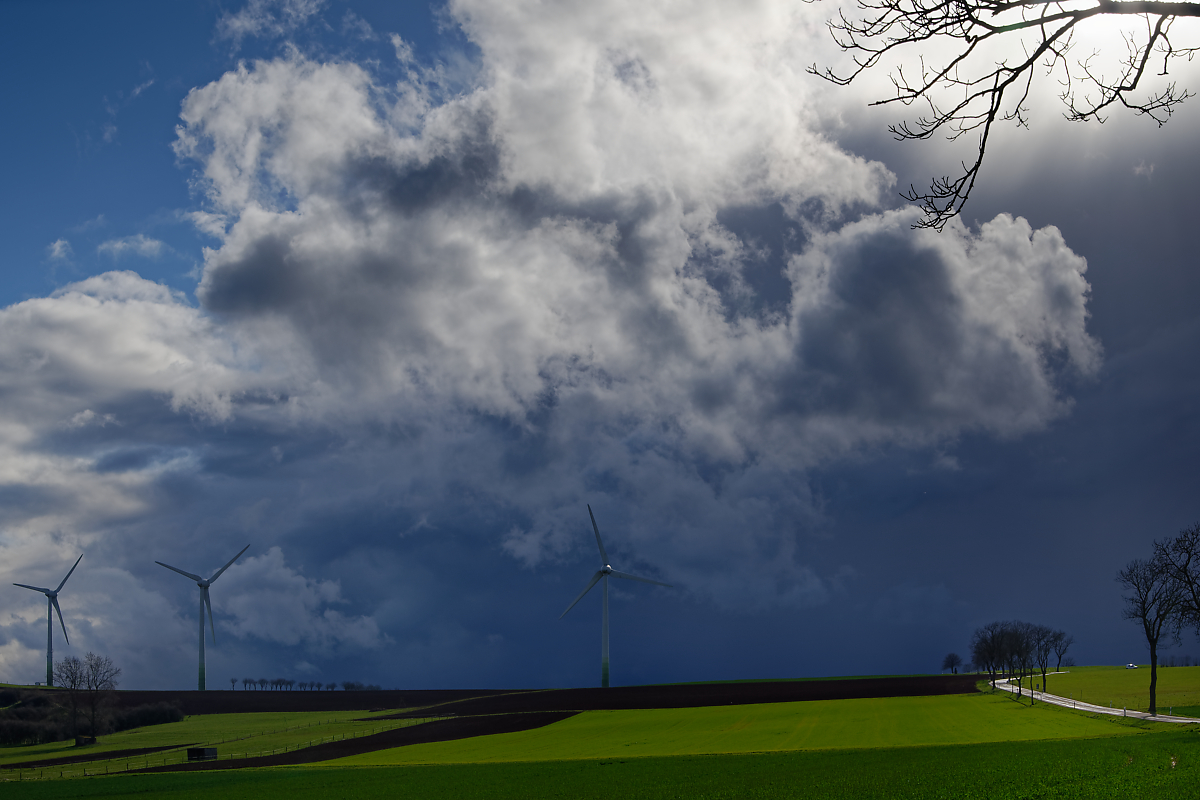 Z62_1542-3.jpg
