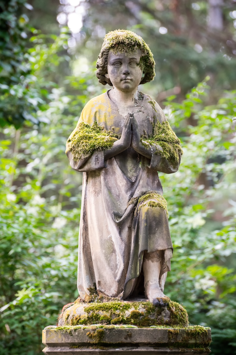 Z62_1753.jpg