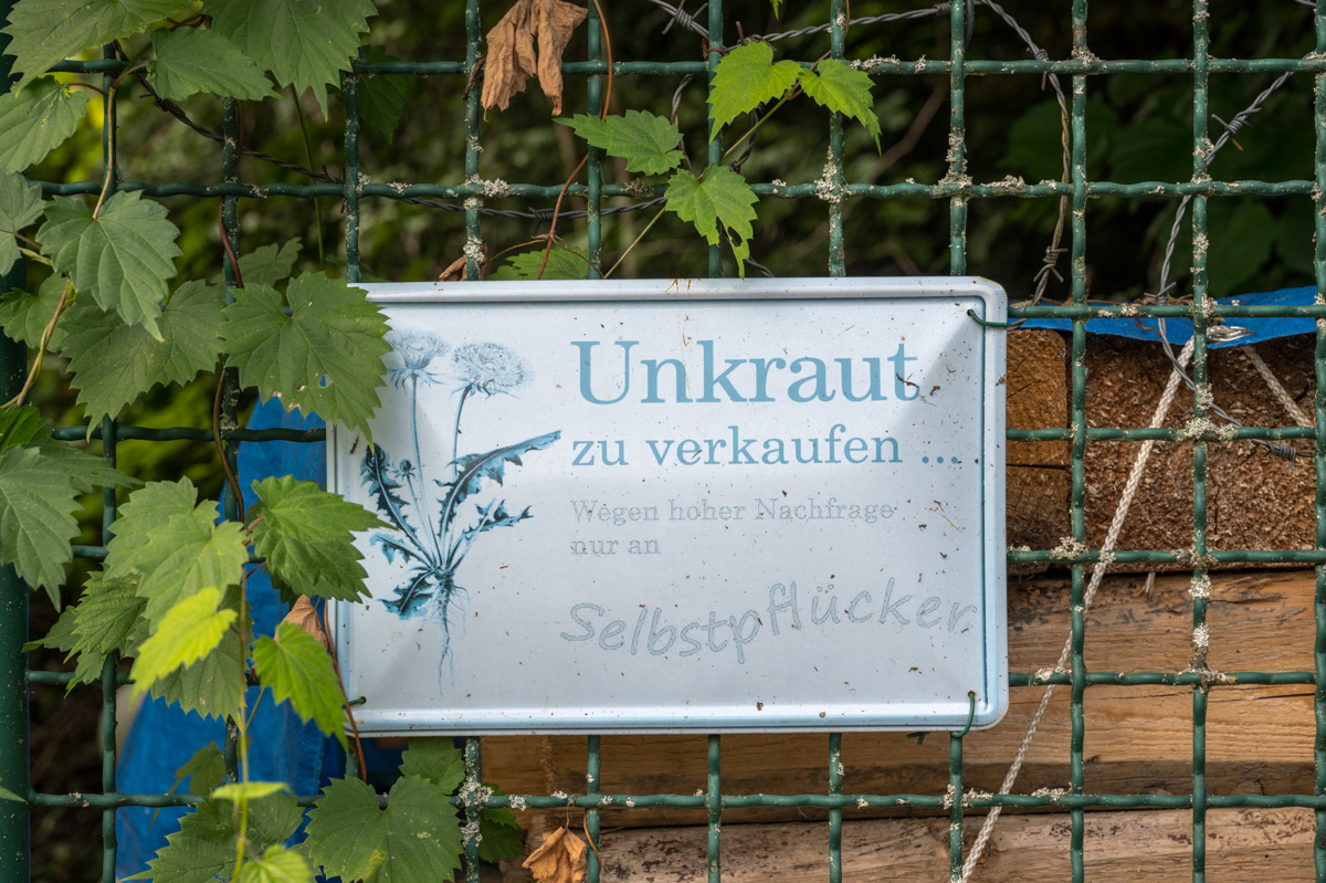 Z62_2539-Bearbeitet.jpg