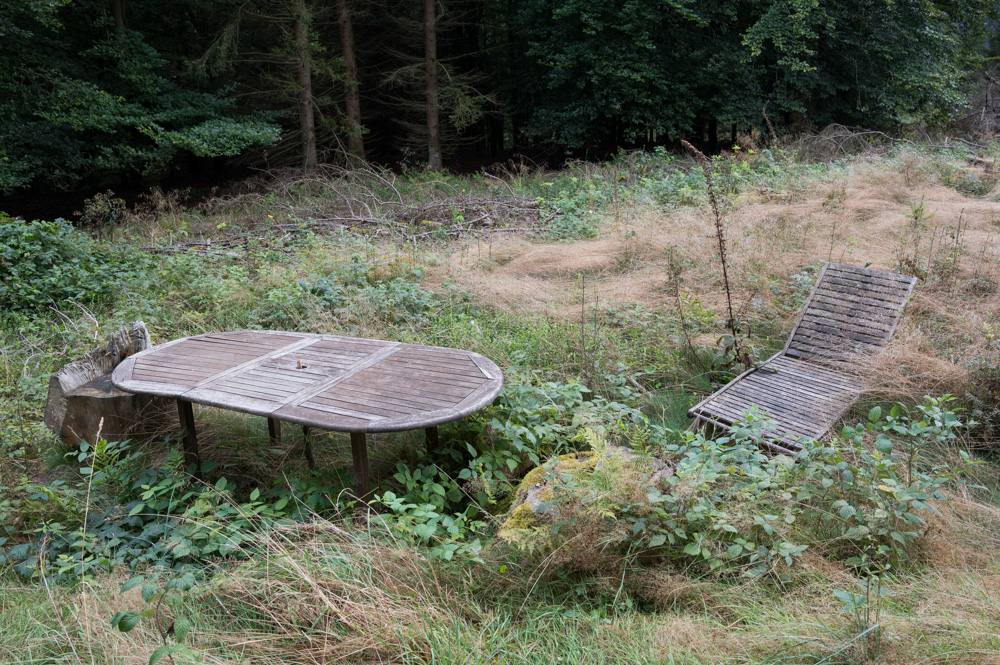 Z62_2564.jpg