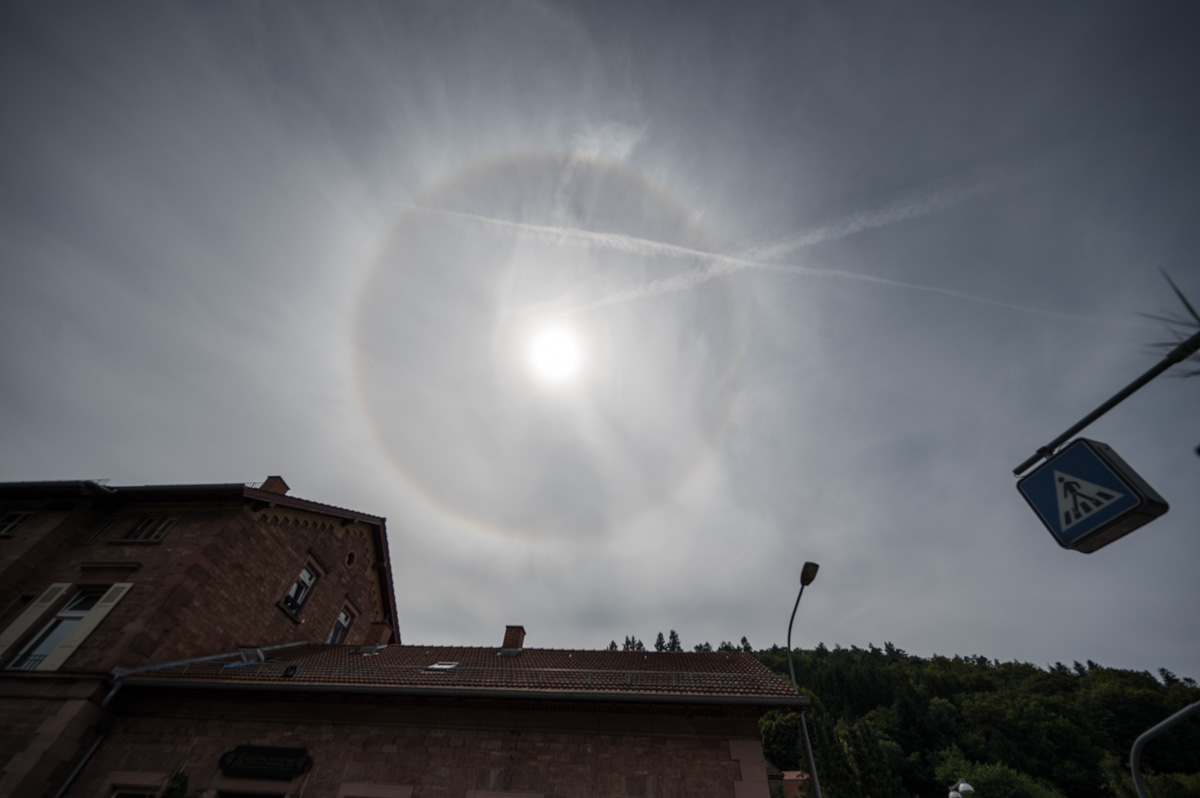 Z62_2613.jpg