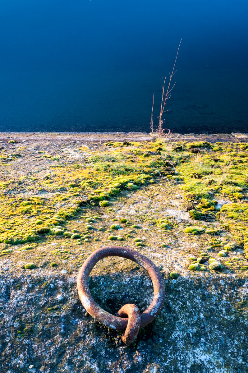 Z62_3654.jpg