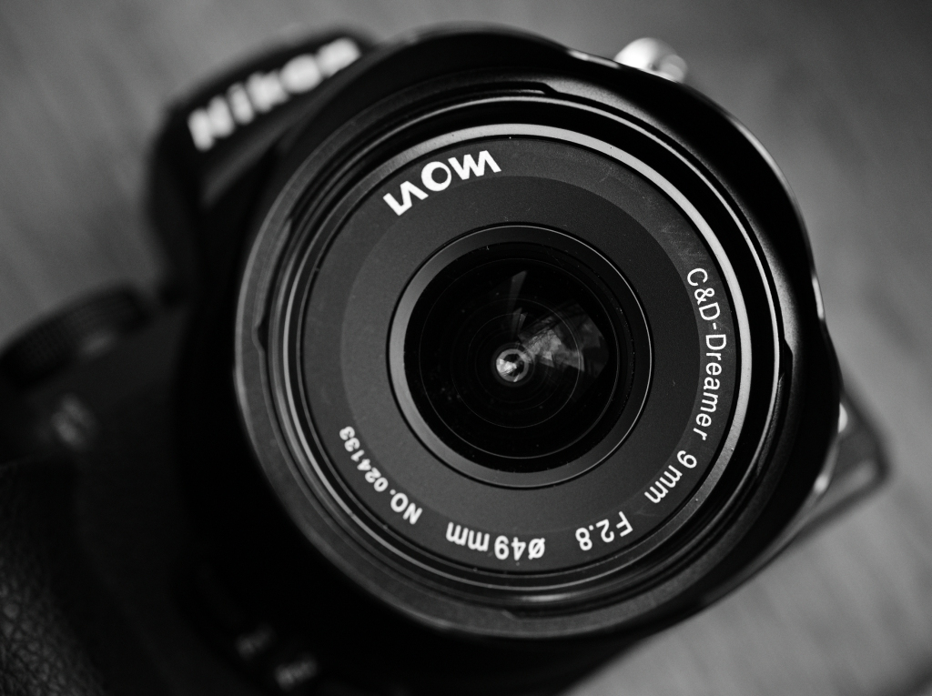 Z62_3834.JPG