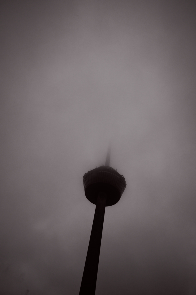Z62_9842.jpg