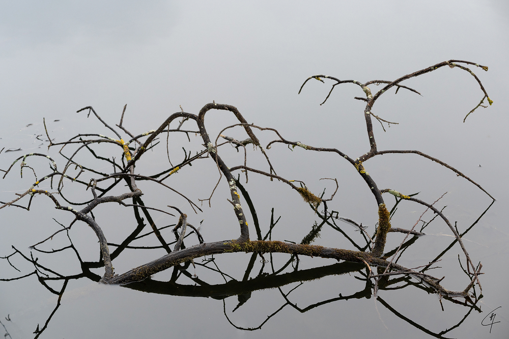 Z6H_0008.jpg