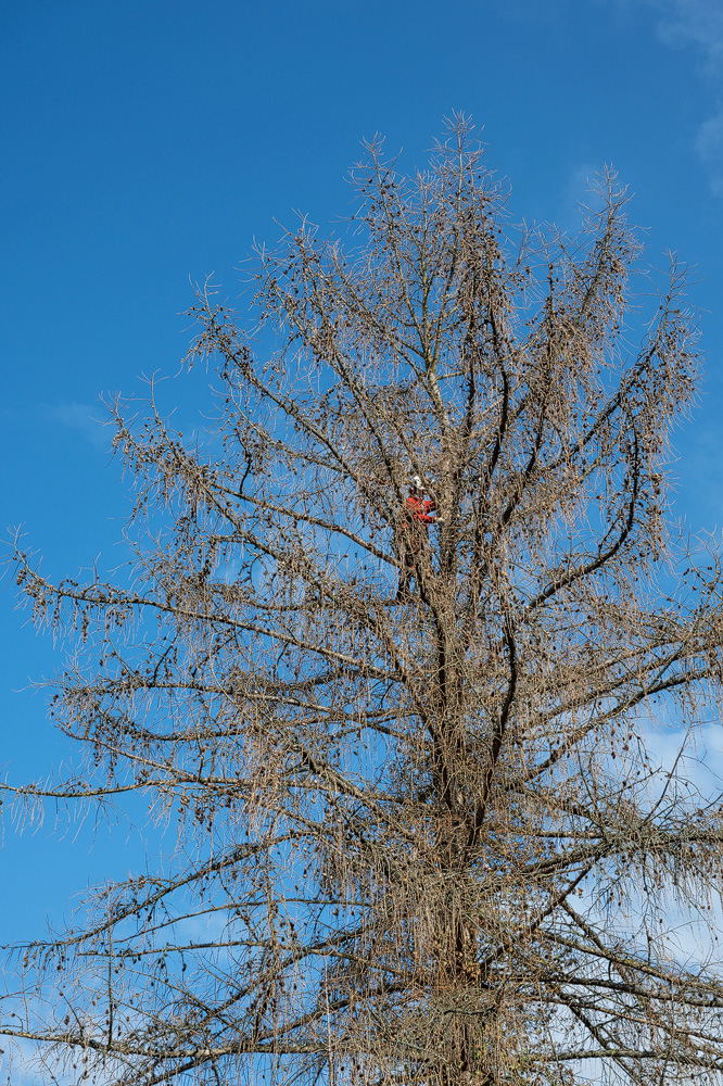 Z6H_0067.jpg