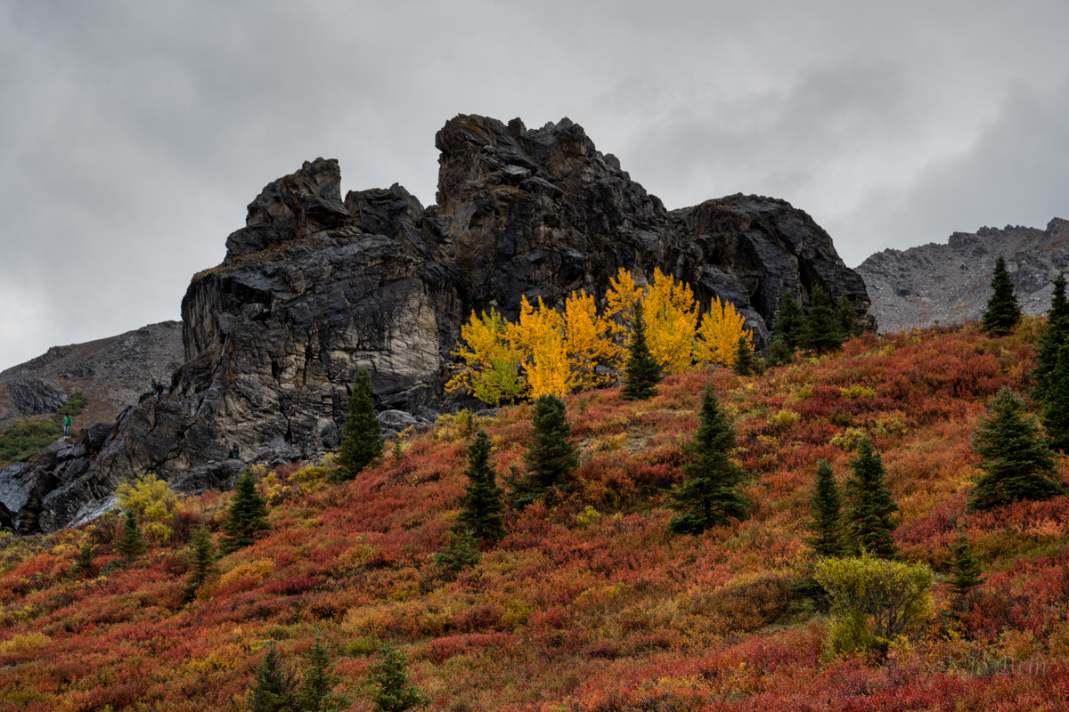 Z72_2039_AuroraHDR2019-edit.jpg