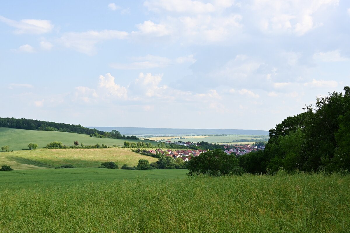 Z72_2316a.jpg