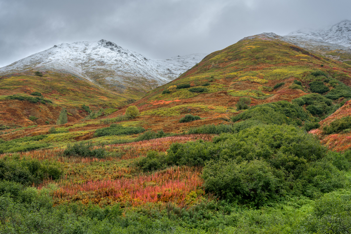 Z72_2431Hatcher Pass-NEF.jpg