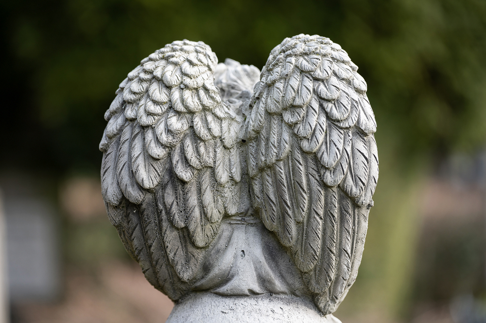 Z7H_1382.jpg
