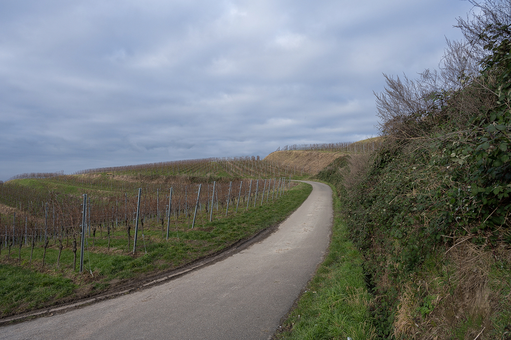 Z7H_1401.jpg