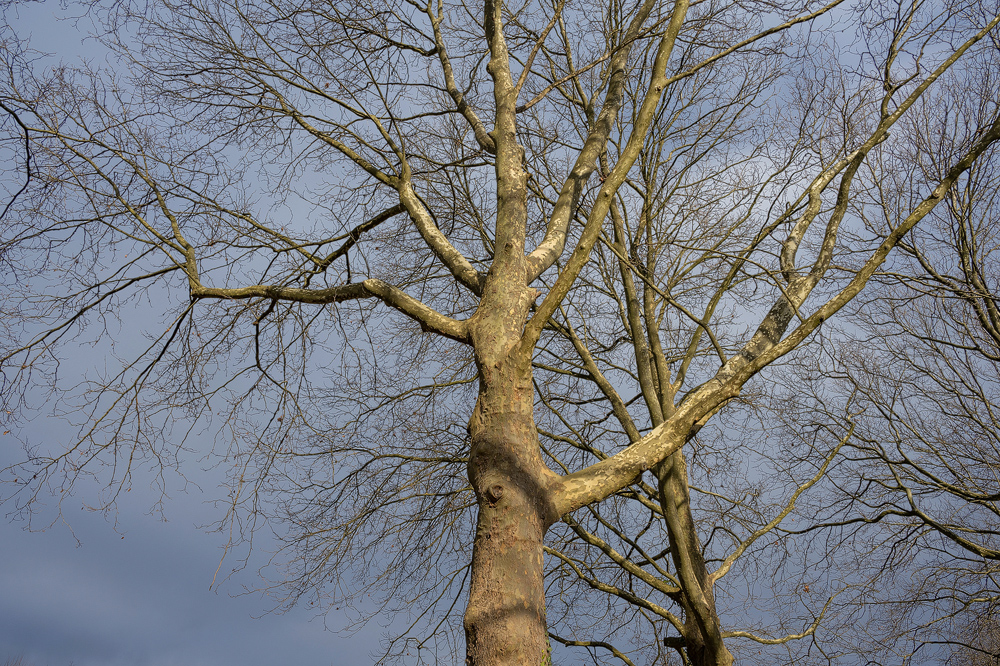 Z7H_1402.jpg
