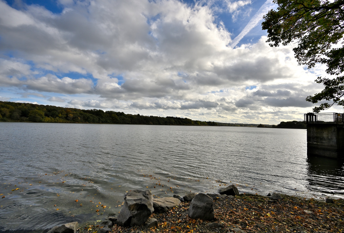 Z7R_4938.JPG