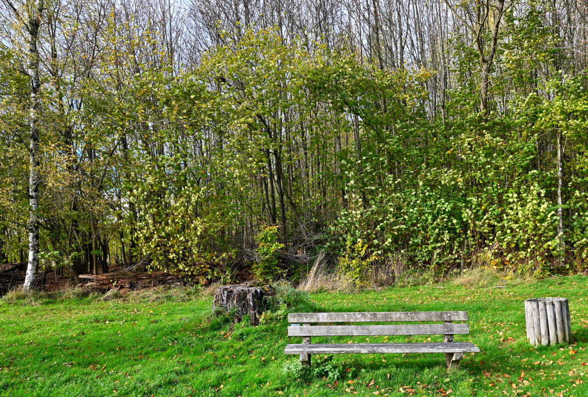 Z7R_5116.JPG