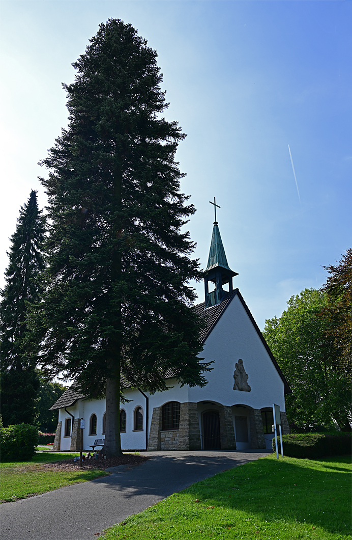 Z8A_0305vp-40t10l10s40p1.jpg