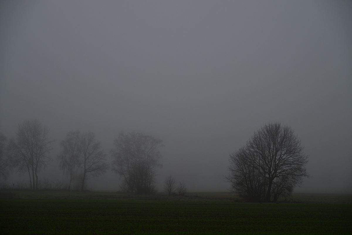 Z8A_0496s45p1.jpg