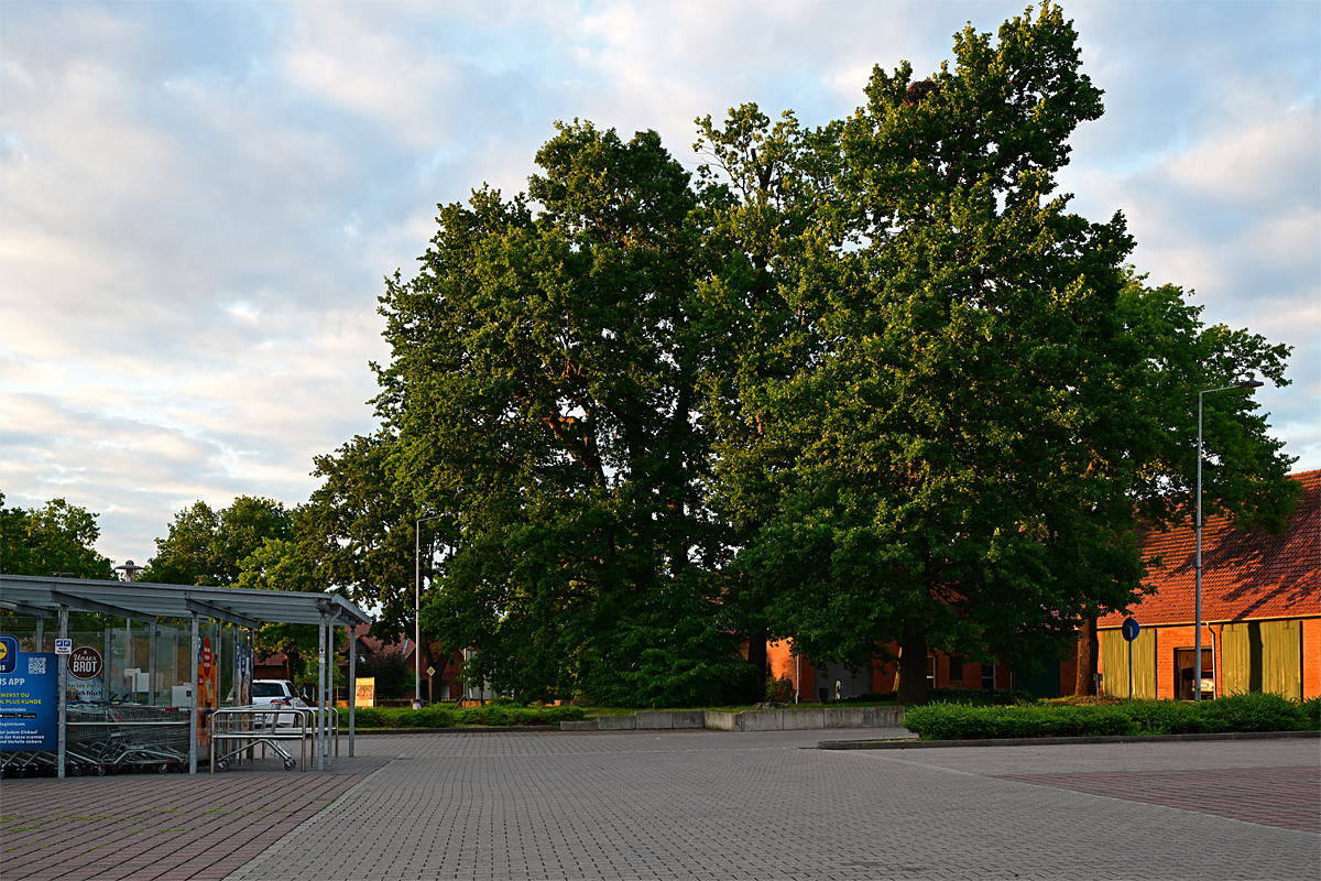Z8A_0890vp-15t5l5s40p1.jpg