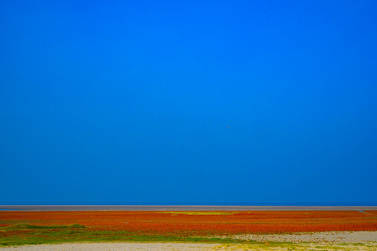Z8A_0919b.jpg
