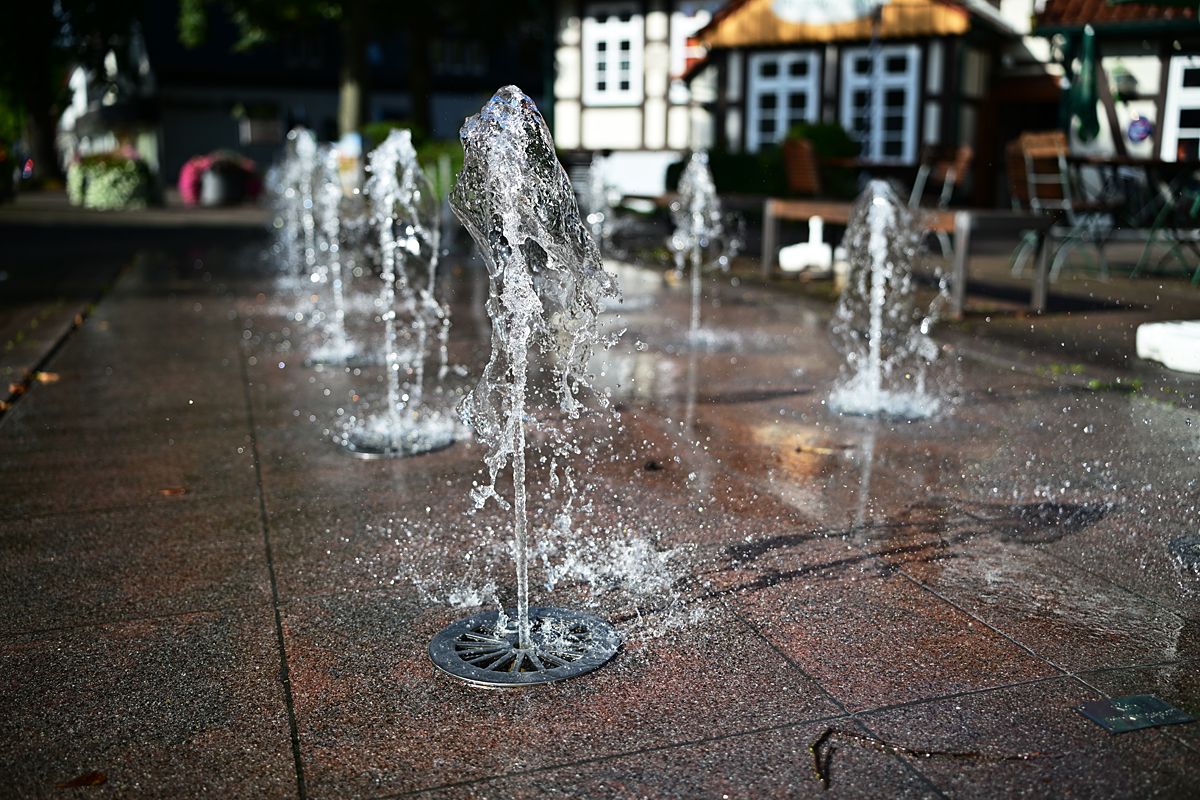 Z8A_3314fks40p1.jpg