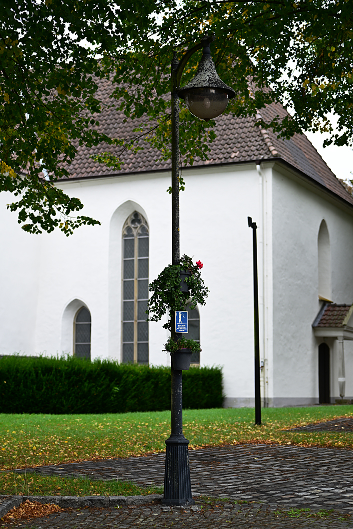 Z8A_3359fks40p1.jpg