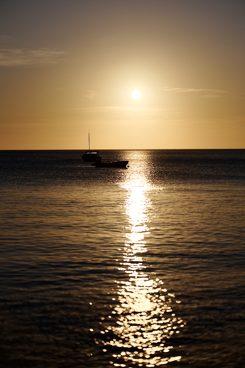 Z8A_6508.jpg