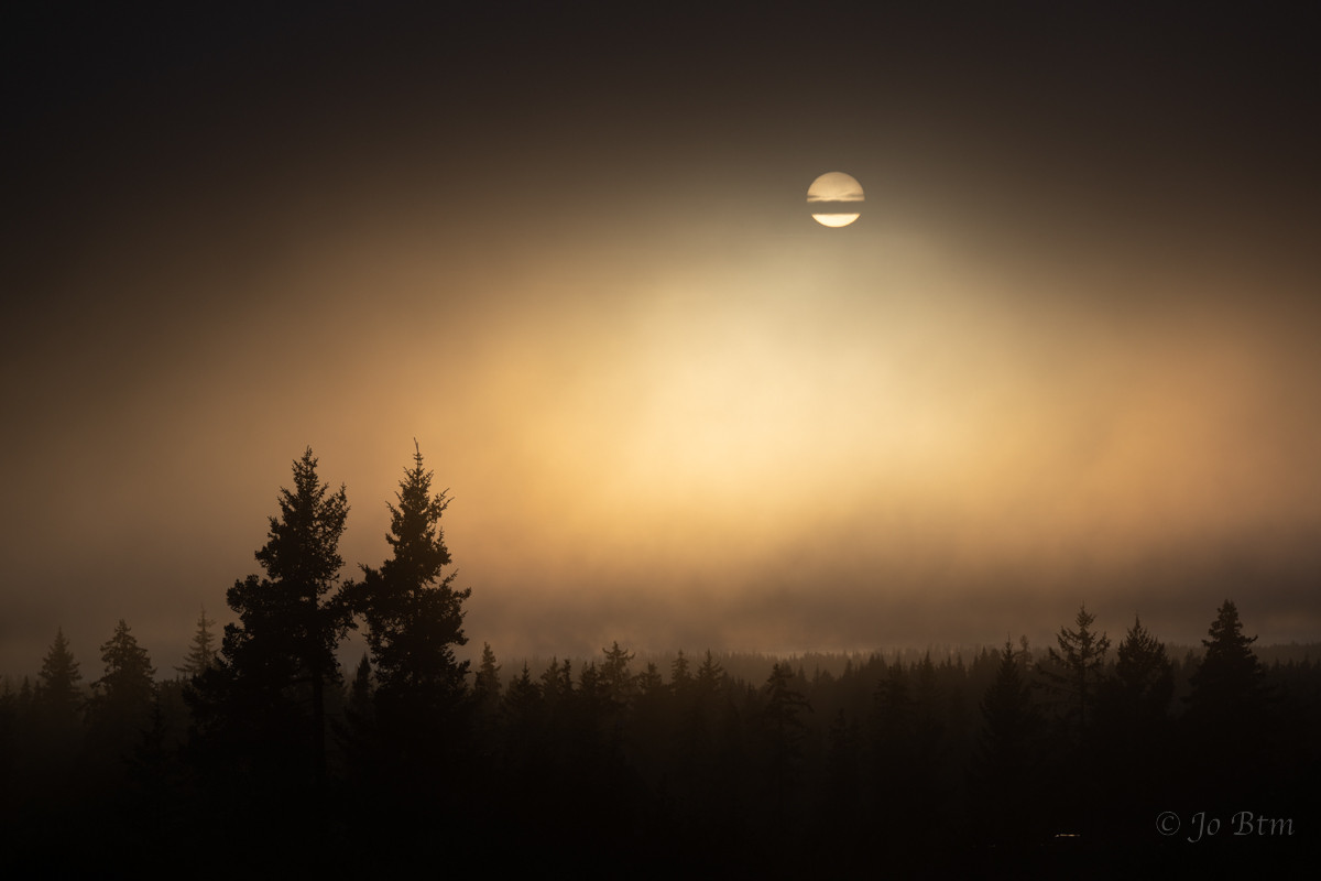 Z9A_5788.jpg