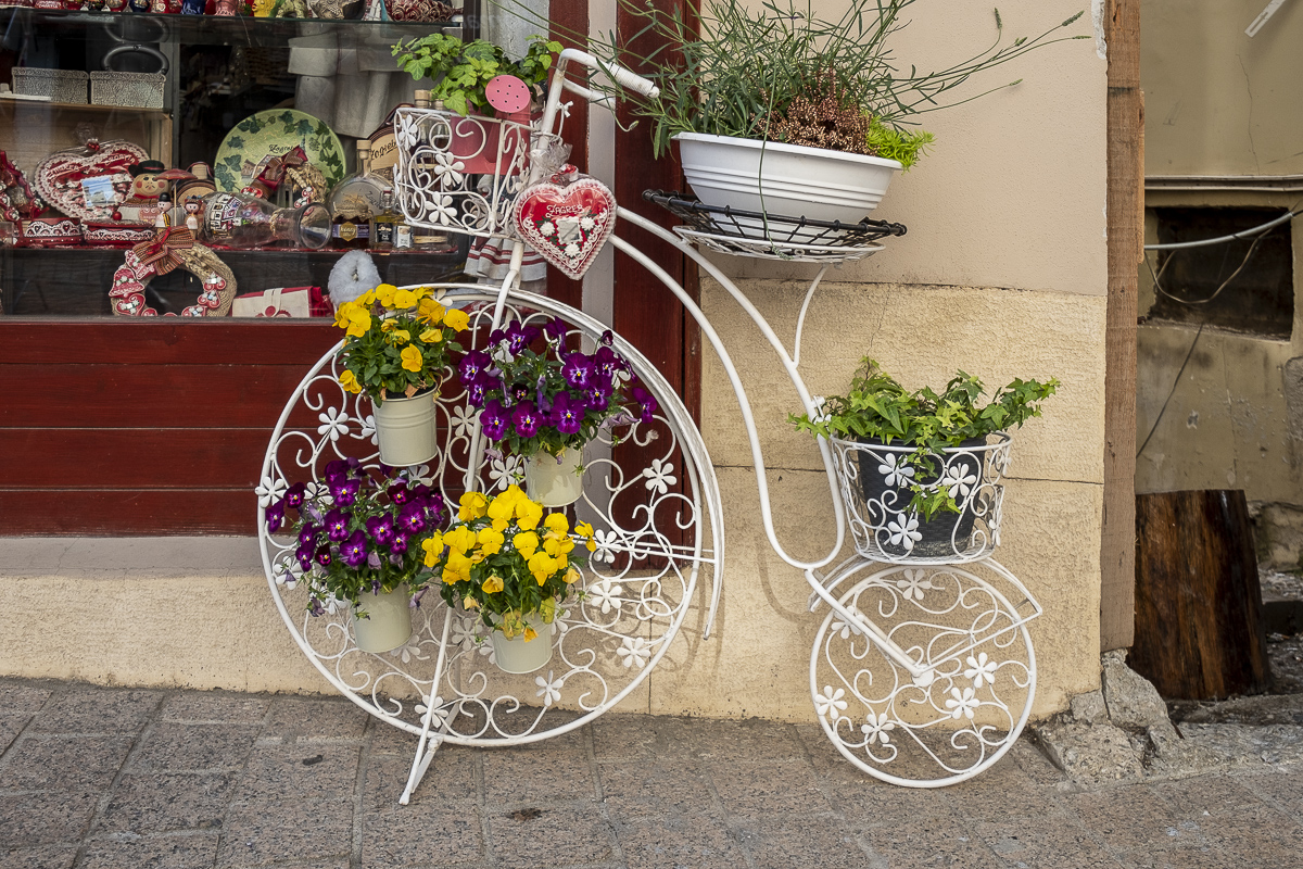 Zagreb Blumenfahrrad.jpg