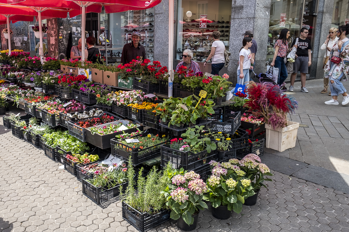 Zagreb shopping 2.jpg