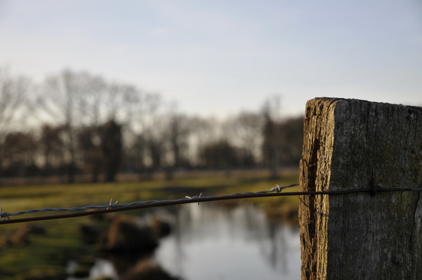 Zaunblick