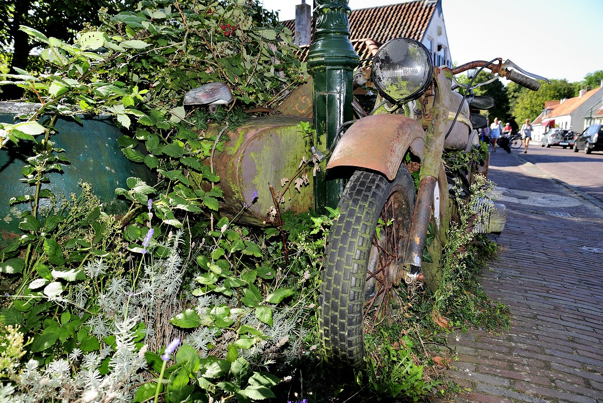 Zeeland(42)