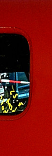 ZF1_9620_01.JPG