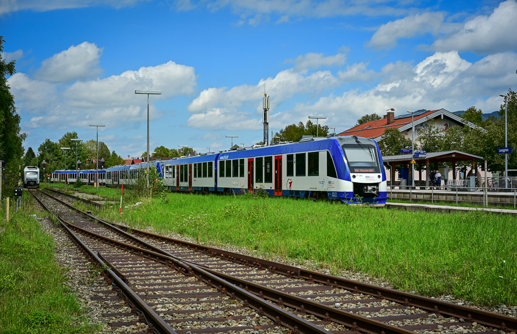 ZFC_7527.jpg