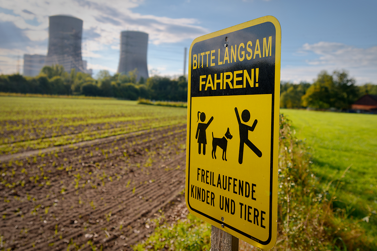 ZFF_3531.jpg