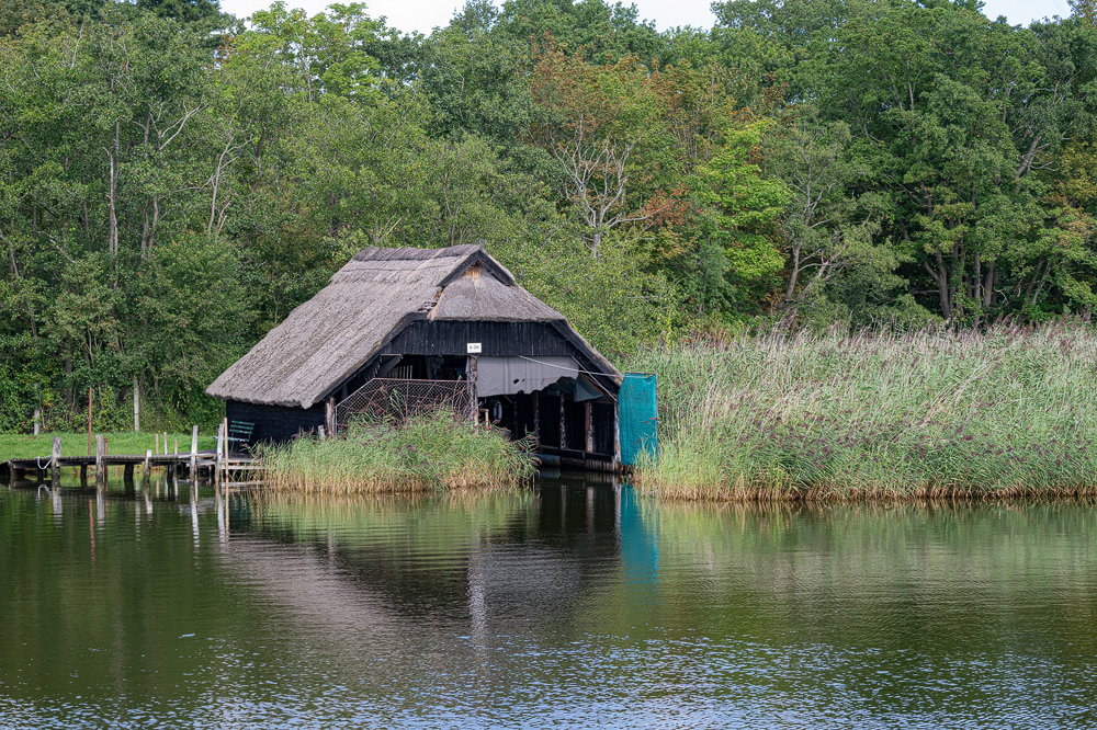 ZHG_0321.jpg