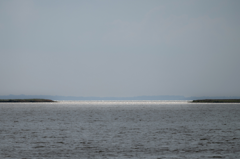 ZHG_0349.jpg