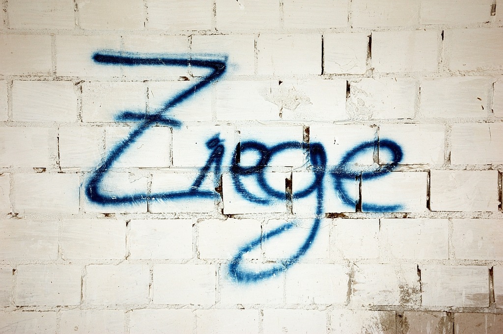 Ziege01