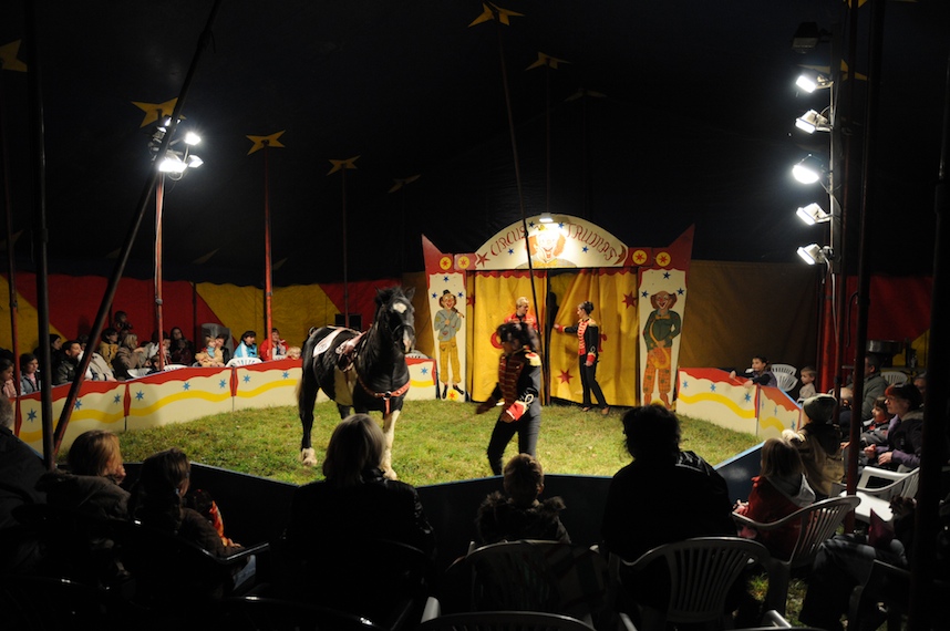 Zirkus Manege