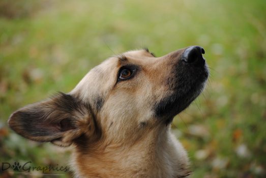 Zoey001