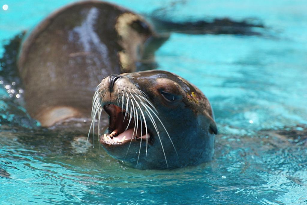 Zoo Duisburg