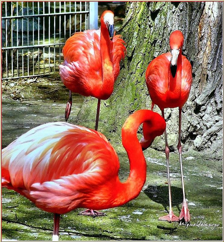 Zoo Duisburg