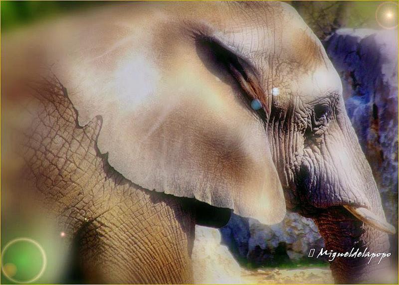 Zoo Duisburg