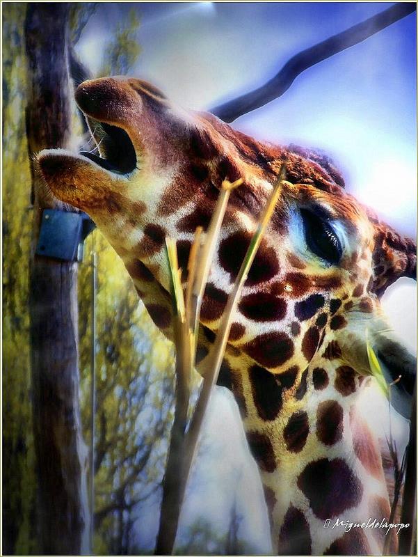 Zoo Duisburg