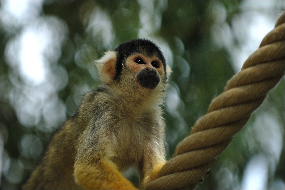 Zoo Emmen 15-08-2010