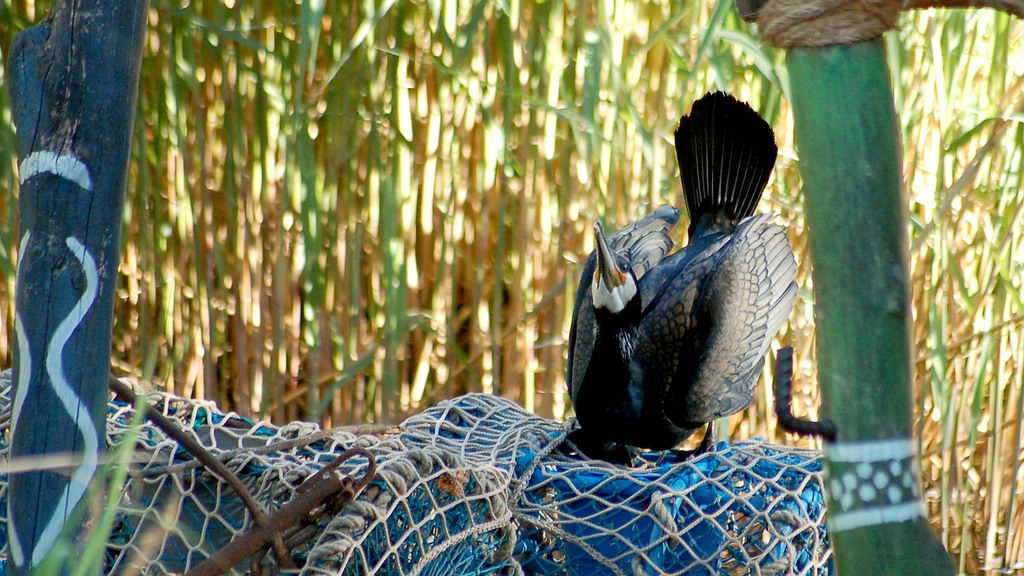 zoo hannover DSC 3968