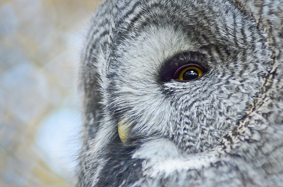 Zoo Krefeld