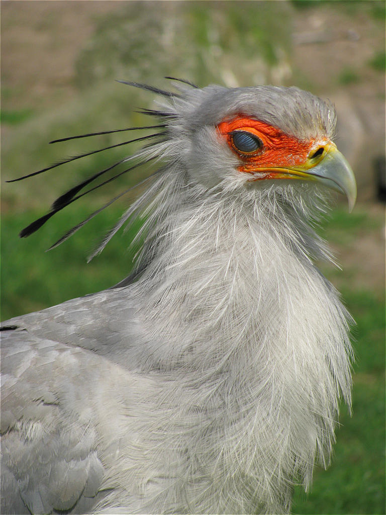 Zoo Münster